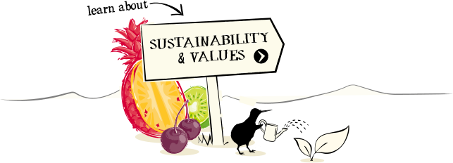 Learn about sustainability and values