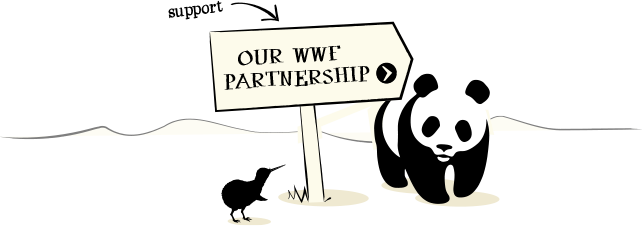 Learn about sustainability and values