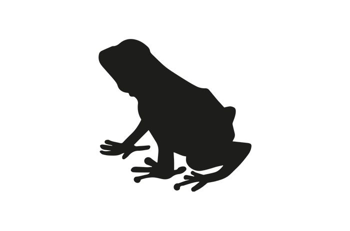 Poison dart frog