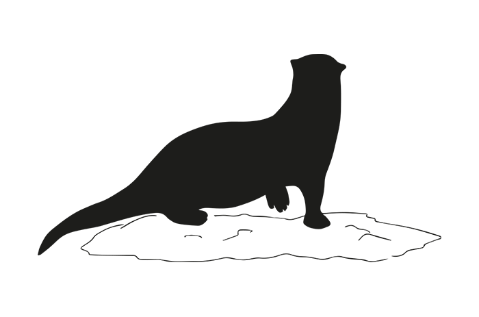 Giant river otter