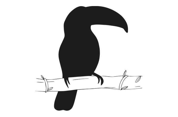 Toucan