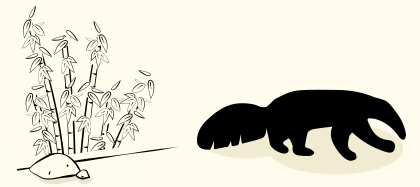 Giant Anteater, Amazon
