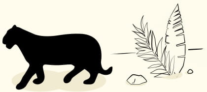 Jaguar, Amazon