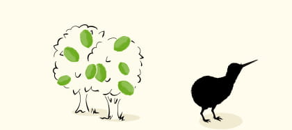 Kiwi - New Zealand